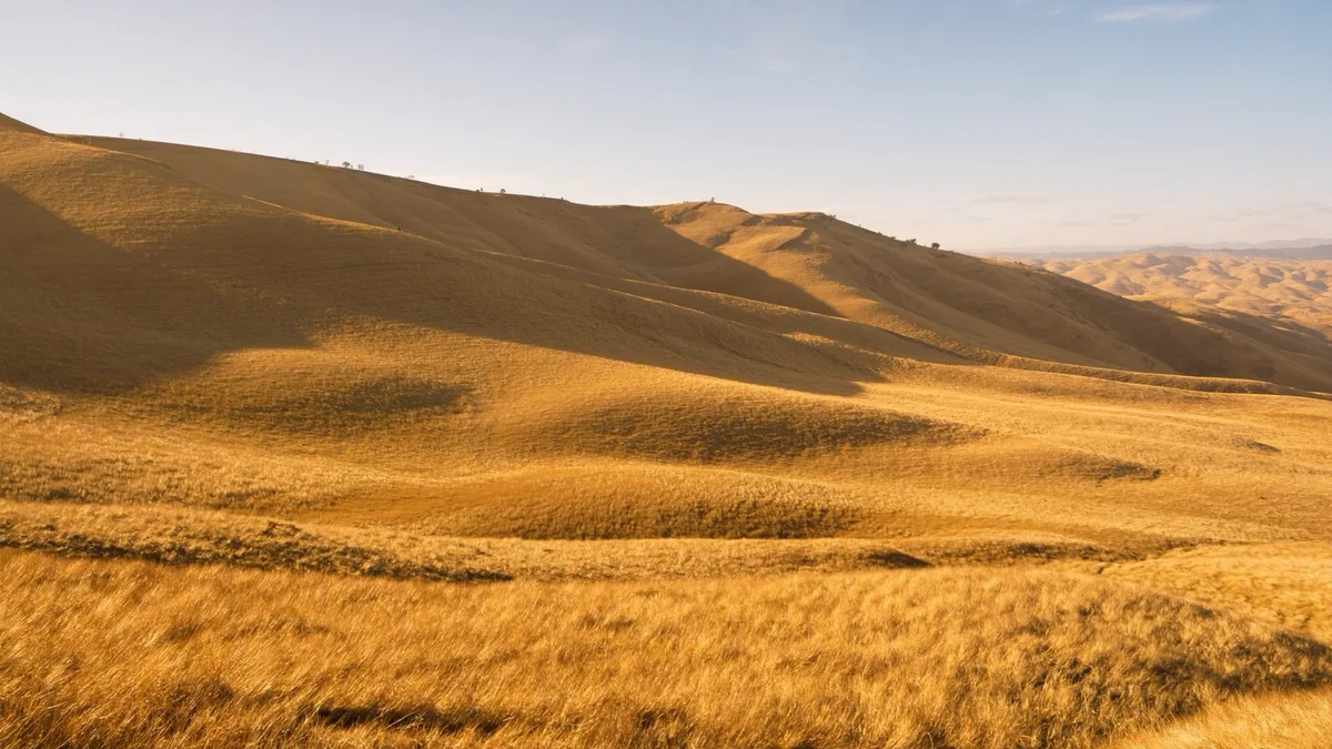 Beste reistijd voor Californie: wanneer ga je?