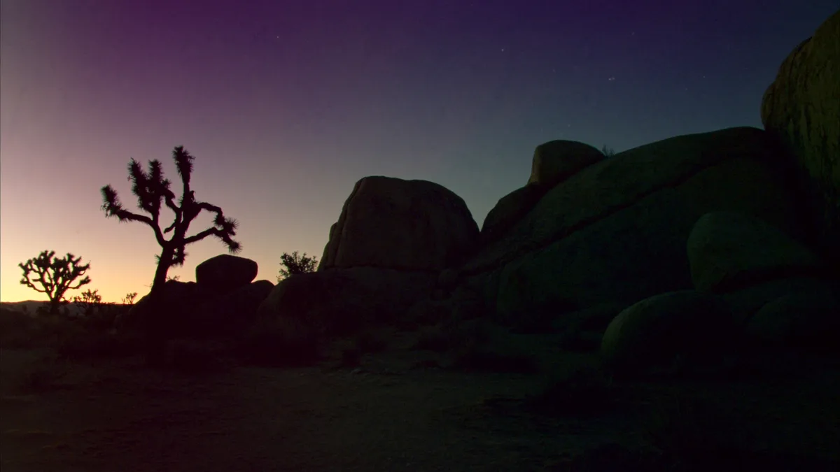 Joshua Tree: beste tijd, hikes en stargazing in de woestijn