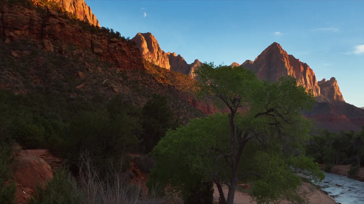 Zion National Park: de mooiste wandelingen en tips voor je bezoek
