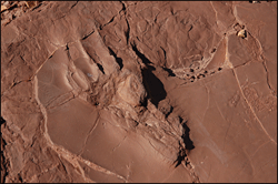 Prehistoric Trackways National Monument