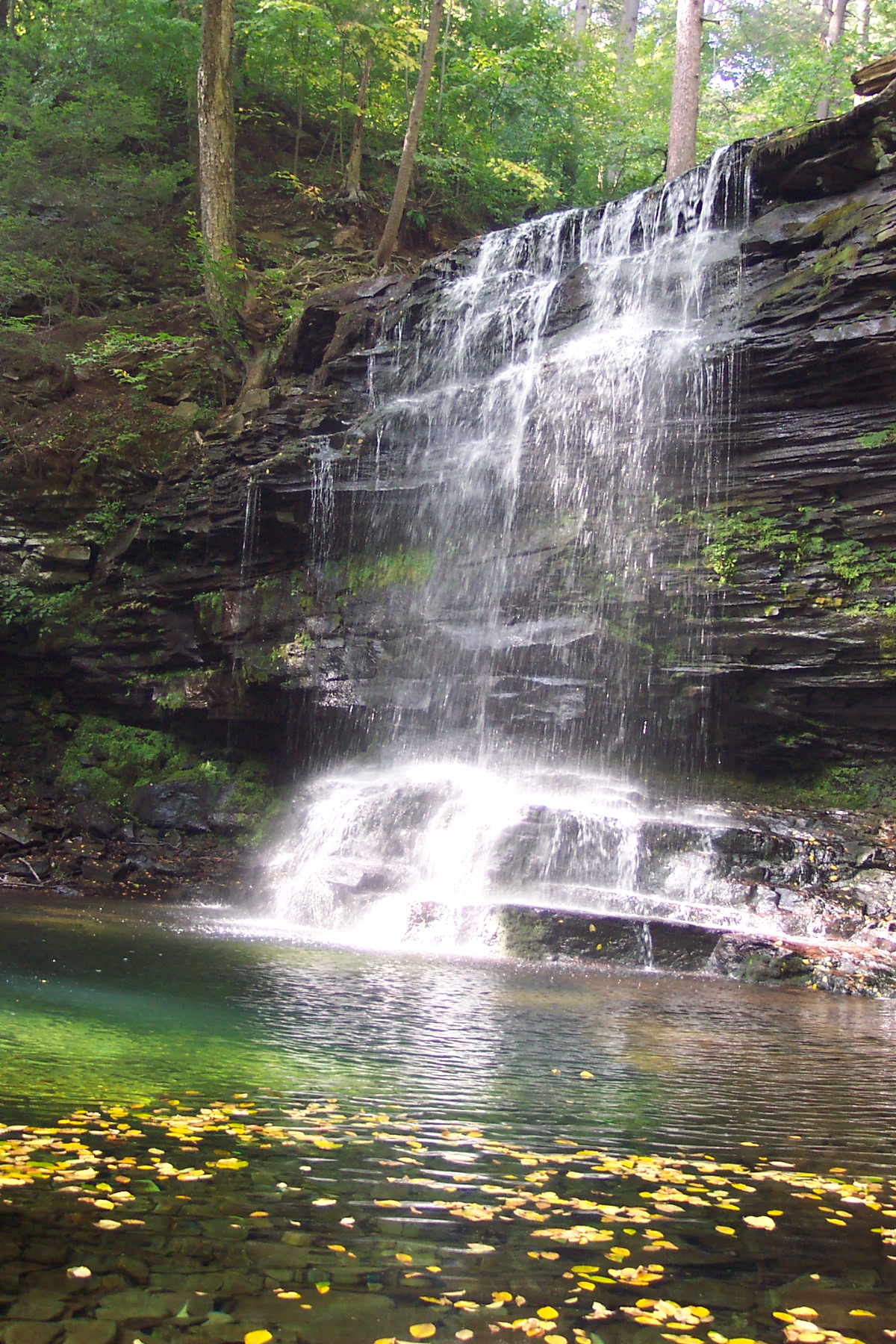 Ricketts Glen