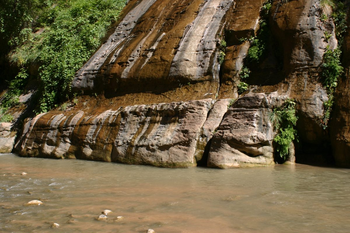 Zion National Park