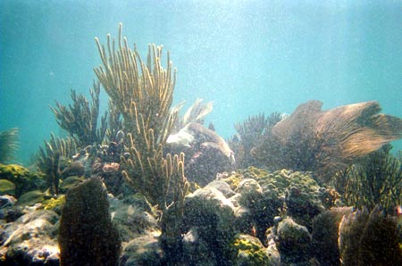 Biscayne National Park bezienswaardigheden