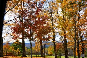 vermont