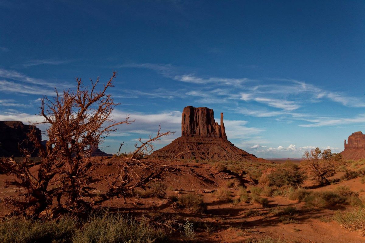 Arizona bezienswaardigheden