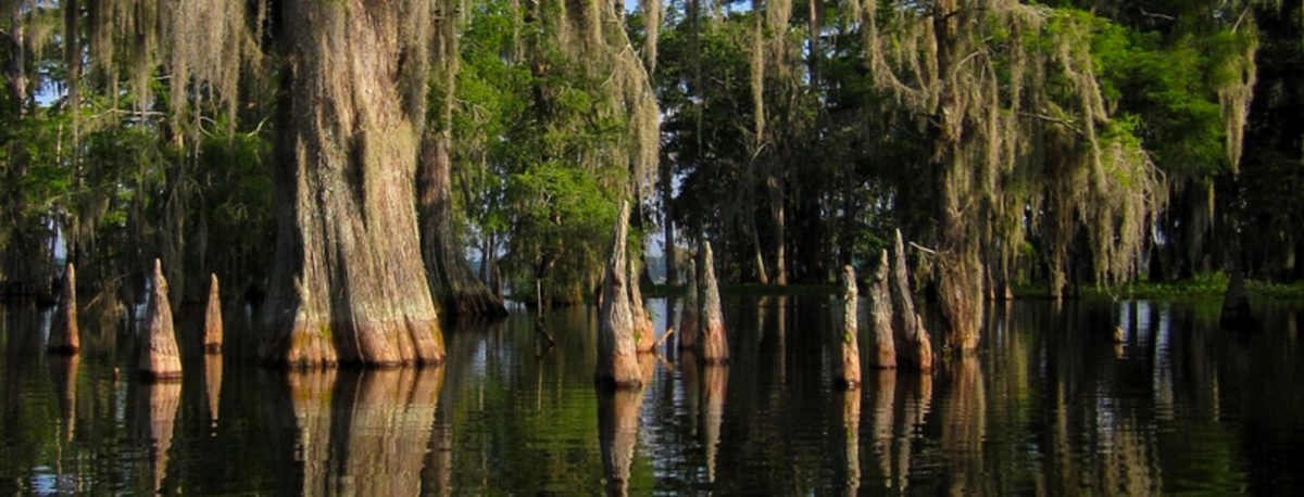 Louisiana bezienswaardigheden
