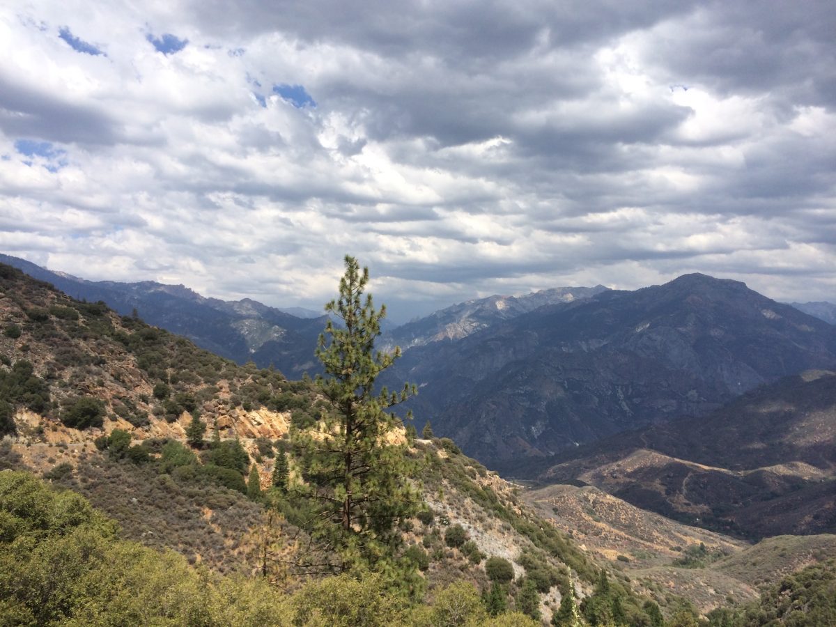 Kings Canyon nationaal park