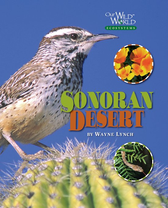 Sonoran Desert