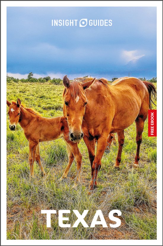 Insight Guides Main Series- Insight Guides Texas: Travel Guide with eBook