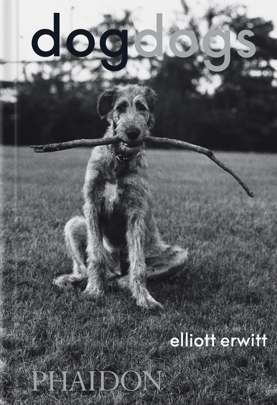 DogDogs