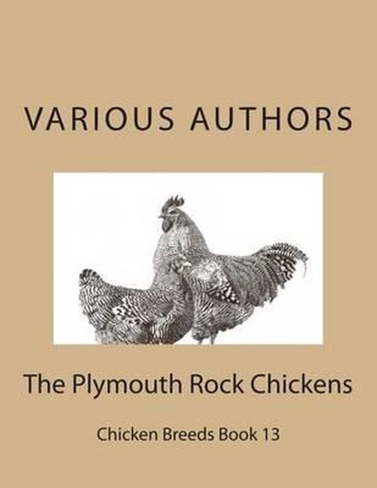Chicken Breeds-The Plymouth Rock Chickens