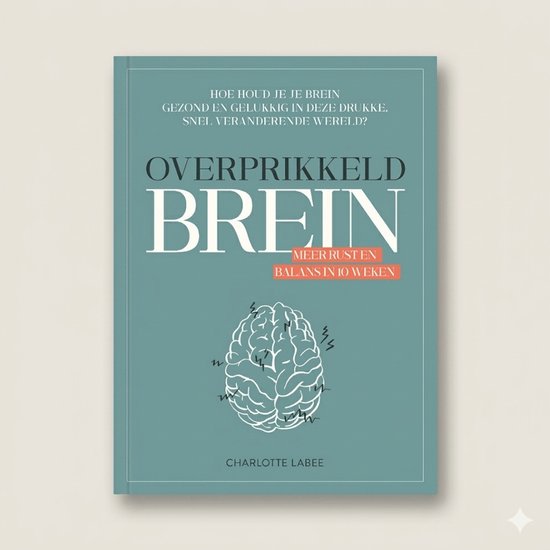 Overprikkeld brein
