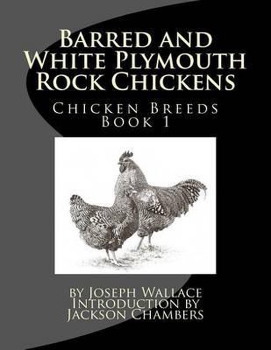 Chicken Breeds- Barred and White Plymouth Rock Chickens