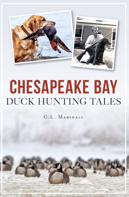 Sports - Chesapeake Bay Duck Hunting Tales