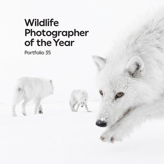 Wildlife Photographer Of The Year: Portfolio 35