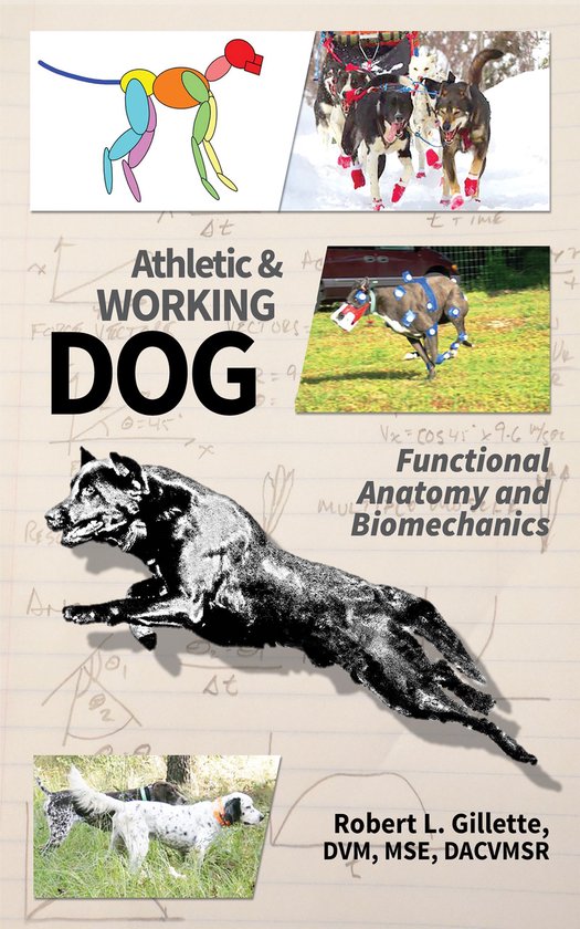 Athletic and Working Dog
