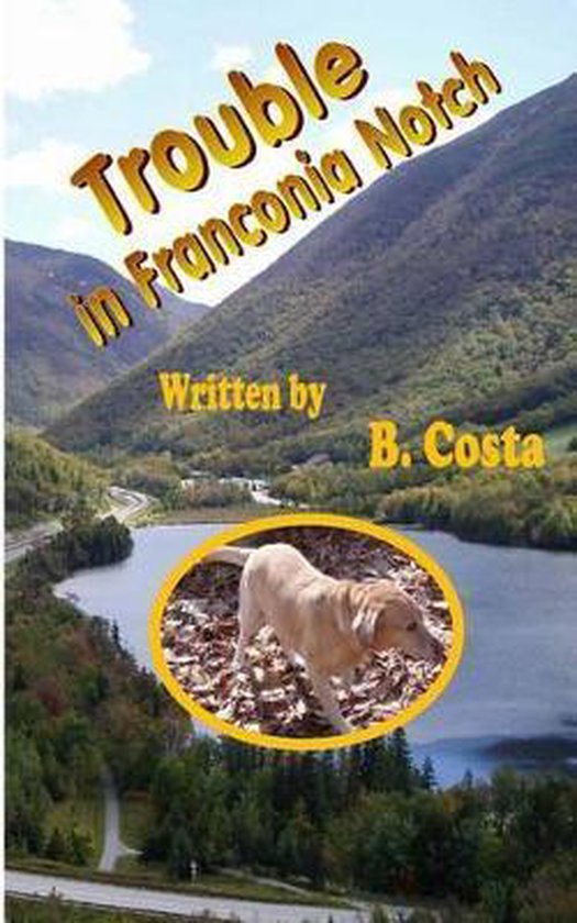 Trouble in Franconia Notch
