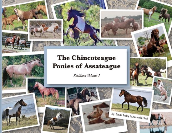 The Chincoteague Ponies of Assateague-The Chincoteague Ponies of Assateague